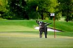 Golfclub Taunus Weilrod - Top-Hundeurlaub