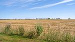 area - Ferienhaus für 18 Personen (267 m²) in Spøttrup - Top-Hundeurlaub