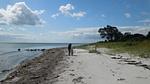 beach - Ferienhaus für 16 Personen (245 m²) in Tranekær - Top-Hundeurlaub