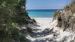 exterior - Ferienwohnung für 3 Personen (70 m²) in Porto Cesareo - Top-Hundeurlaub