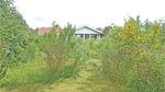outside - Ferienhaus für 8 Personen (128 m²) in Løgstør - Top-Hundeurlaub