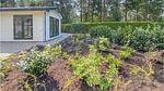 outside - Ferienhaus für 2 Personen (40 m²) in Vorden - Top-Hundeurlaub