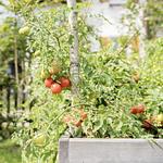 Glück am See – Apartments mit Seezugang - Top-Hundeurlaub