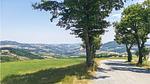 house - Ferienhaus für 4 Personen (40 m²) in Villagrande - Top-Hundeurlaub