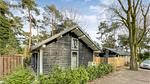 house - Ferienhaus für 6 Personen (73 m²) in Meijel - Top-Hundeurlaub