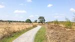 house - Ferienhaus für 6 Personen (73 m²) in Meijel - Top-Hundeurlaub