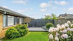 exterior - Ferienhaus für 2 Personen (52 m²) in Skagen - Top-Hundeurlaub