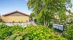 exterior - Ferienhaus für 2 Personen (52 m²) in Skagen - Top-Hundeurlaub