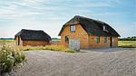 exterior - Ferienhaus für 8 Personen (123 m²) in Ulfborg - Top-Hundeurlaub