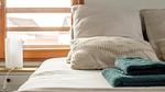 bed - Ferienhaus für 4 Personen (50 m²) in Le Crotoy - Top-Hundeurlaub