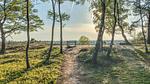 house - Ferienhaus für 4 Personen (60 m²) in Hellendoorn - Top-Hundeurlaub