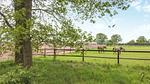 house - Ferienhaus für 4 Personen (60 m²) in Hellendoorn - Top-Hundeurlaub