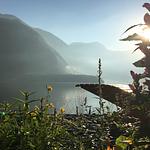 Hallstatt Lakeview Apartments - Top-Hundeurlaub