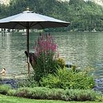 Hallstatt Lakeview Apartments - Top-Hundeurlaub