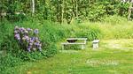outside - Ferienhaus für 8 Personen (127 m²) in Oksbøl - Top-Hundeurlaub
