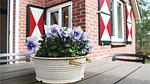 house - Ferienhaus für 6 Personen (59 m²) in Ommen - Top-Hundeurlaub