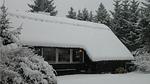 house - Ferienhaus für 4 Personen (50 m²) in Væggerløse - Top-Hundeurlaub