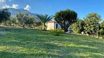 house - Ferienhaus für 6 Personen (90 m²) in Cervione - Top-Hundeurlaub