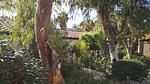 exterior - Ferienhaus für 4 Personen (65 m²) in Marina Di Modica - Top-Hundeurlaub