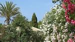 exterior - Ferienhaus für 4 Personen (65 m²) in Marina Di Modica - Top-Hundeurlaub
