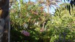 exterior - Ferienhaus für 4 Personen (65 m²) in Marina Di Modica - Top-Hundeurlaub