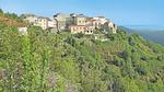 house - Ferienhaus für 4 Personen (63 m²) in Cervione - Top-Hundeurlaub