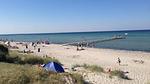 area - Ferienhaus für 18 Personen (262 m²) in Glesborg - Top-Hundeurlaub