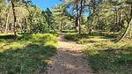 Untagged - Ferienhaus für 7 Personen (84 m²) in Hadsund - Top-Hundeurlaub