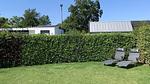 Untagged - Bungalow für 4 Personen (50 m²) in Zoutelande - Top-Hundeurlaub