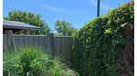 Untagged - Bungalow für 4 Personen (50 m²) in Zoutelande - Top-Hundeurlaub