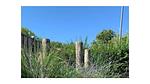 Untagged - Bungalow für 4 Personen (50 m²) in Zoutelande - Top-Hundeurlaub