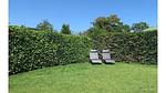 Untagged - Bungalow für 4 Personen (50 m²) in Zoutelande - Top-Hundeurlaub
