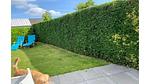 Untagged - Bungalow für 4 Personen (50 m²) in Zoutelande - Top-Hundeurlaub