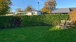 Untagged - Bungalow für 4 Personen (50 m²) in Zoutelande - Top-Hundeurlaub