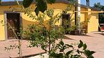 ExteriorSummer - Bauernhof für 5 Personen (60 m²) in Apecchio - Top-Hundeurlaub