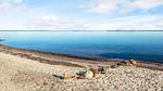 Untagged - Ferienhaus für 7 Personen (140 m²) in Øster Assels - Top-Hundeurlaub