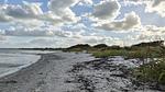 WaterView - Ferienhaus für 17 Personen (225 m²) in Væggerløse - Top-Hundeurlaub