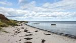 WaterView - Ferienhaus für 17 Personen (225 m²) in Væggerløse - Top-Hundeurlaub