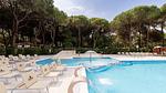 PoolOfHouse - Mobilheim für 5 Personen (25 m²) - Top-Hundeurlaub