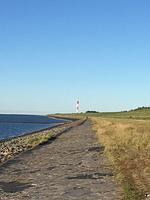 Nordsee-Ferienhaus Butjadingen - Top-Hundeurlaub