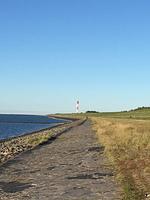 Nordsee-Ferienhaus Butjadingen - Top-Hundeurlaub