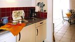 Kitchen - Ferienwohnung für 2 Personen (50 m²) in Caderousse - Top-Hundeurlaub