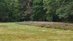 Untagged - Ferienhaus für 13 Personen (200 m²) in Egå - Top-Hundeurlaub