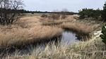 WaterView - Ferienhaus für 3 Personen (38 m²) in Ålbæk - Top-Hundeurlaub