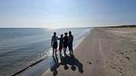 WaterView - Ferienhaus für 3 Personen (38 m²) in Ålbæk - Top-Hundeurlaub