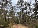 Landschaft - Wohnung 206 - Top-Hundeurlaub