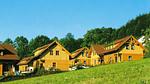 ExteriorSummer - Ferienhaus für 8 Personen (72 m²) in Schlierbach - Top-Hundeurlaub