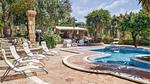 pool - Ferienhaus für 12 Personen (350 m²) in Saline Ioniche - Top-Hundeurlaub