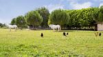 house - Ferienhaus für 9 Personen (135 m²) in Lonnes - Top-Hundeurlaub