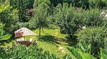 view-from-room - Ferienhaus für 12 Personen (200 m²) in Terrasson Lavilledieu - Top-Hundeurlaub